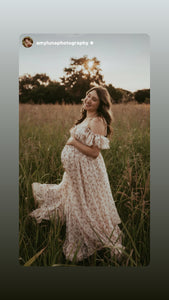 Ready to ship poetry dress in chiffon blush beige floral