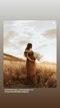 Load image into Gallery viewer, Reserved On sale Ready to ship show off those shoulders dress sheer rusty brown chiffon